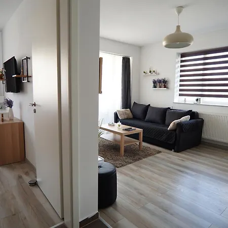 Apartment Relaxing Coresi Place
